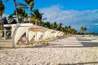 Juanillo Grill & Beach Club