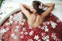 Spa Reveil