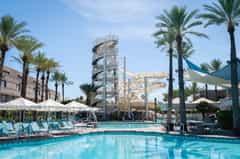 Paradise Pool