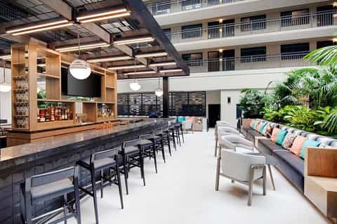Modern hotel bar and lounge with wooden shelving, colorful cushioned seating, and indoor plants