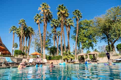 Resort pool with guests swimming, surrounded by tall palm trees and clear blue sky