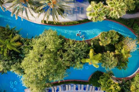 Aerial view of curved turquoise pool surrounded by tropical palm trees and landscaping