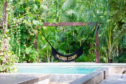 Turquoise pool surrounded by lush tropical vegetation and hammock