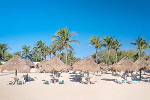 Beach resort with thatched-roof umbrellas, palm trees, and lounge chairs under clear blue sky