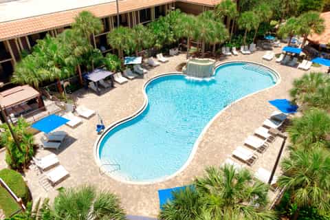 Resort pool shaped like Mickey Mouse with palm trees, lounge chairs, and covered structures