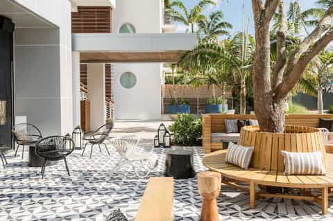 Modern courtyard with wooden deck seating, white contemporary building, and mature palm trees