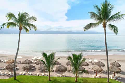 Tropical beach with palm trees, thatched umbrellas, loungers, and calm ocean