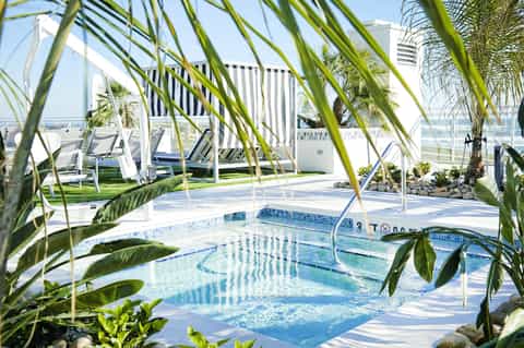 Rooftop pool with lounge chairs, palm trees, and ocean city skyline views