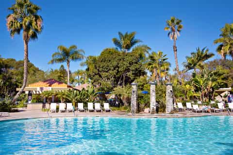 Resort pool with palm trees, loungers, and covered cabana area under clear blue sky