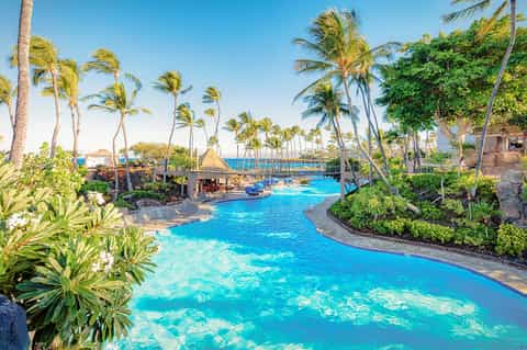 Resort lagoon pool with palm trees, footbridge, and tropical landscaping