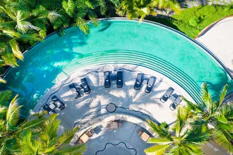 Aerial view of curved resort pool surrounded by palm trees and lounge chairs
