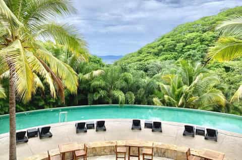 Curved swimming pool surrounded by lush tropical vegetation and palm trees with ocean view