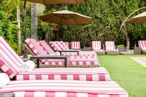 Pink and white striped lounge chairs with umbrellas on manicured lawn