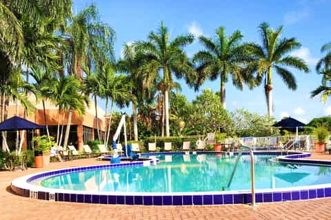 Circular resort pool surrounded by palm trees with lounge chairs and tropical landscaping