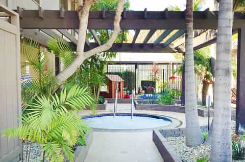 Circular spa pool under pergola with tropical plants and wooden support beams