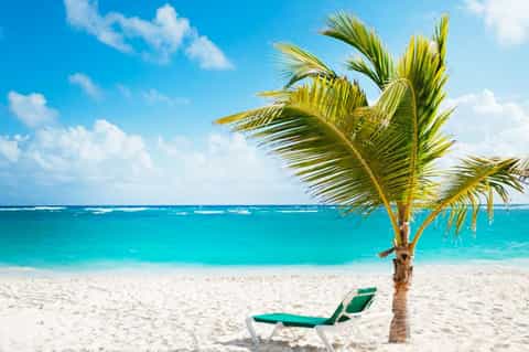 Palm tree on white sand beach with turquoise ocean water and lounge chair