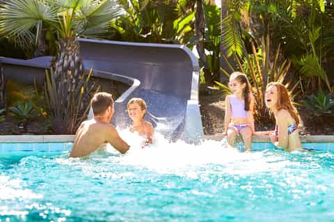 Children enjoying water slide at resort pool surrounded by tropical palm plants and landscaping