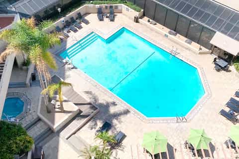 Aerial view of large resort pool with lounge chairs and palm trees