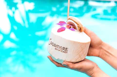 Hand holding a Sagamore Miami Beach coconut drink by a turquoise swimming pool