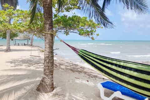 Tropical beach with hammock, palm trees, and clear turquoise ocean waters