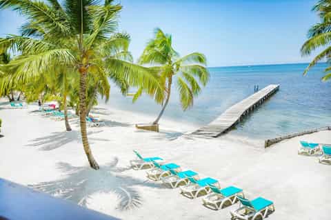 Tropical beach with palm trees, white sand, dock, and turquoise water
