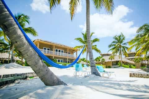 Blue hammock strung between palm trees on sandy beach with resort buildings visible