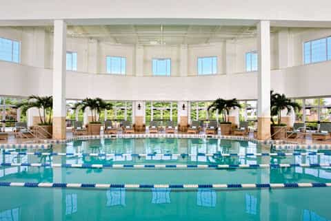 Indoor Olympic-sized swimming pool with lane markers, high ceilings, and natural light from large windows