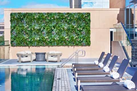 Rooftop pool deck with lounge chairs, living green wall with purple flowers, and city skyline views