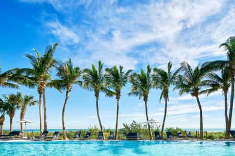 Beachfront resort pool with palm trees, ocean view, and lounging chairs under umbrellas