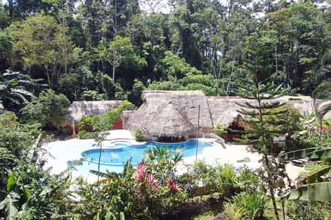 Resort pool nestled in lush jungle with thatched roof structures and tropical landscaping