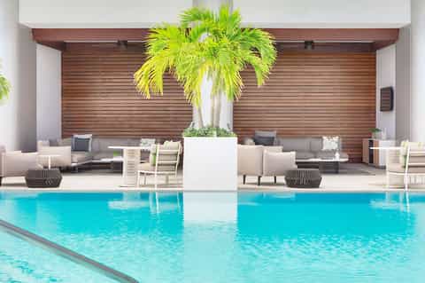 Indoor resort pool with turquoise water, lounge seating, wooden accent wall, and potted palm tree centerpiece