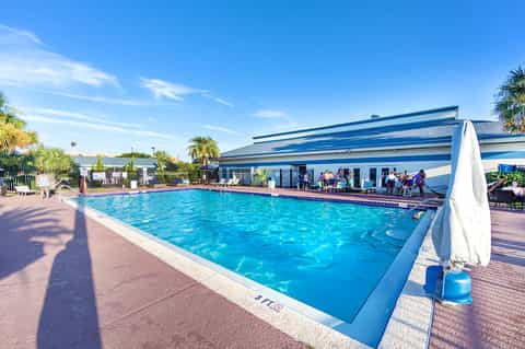 Rectangular resort pool with blue water, white deck, palm trees, and covered lounge seating area