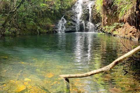 Natural waterfall cascading into emerald pool surrounded by dense tropical vegetation