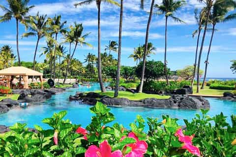 Tropical resort pool with black rock formations, palm trees, and pink hibiscus flowers in foreground