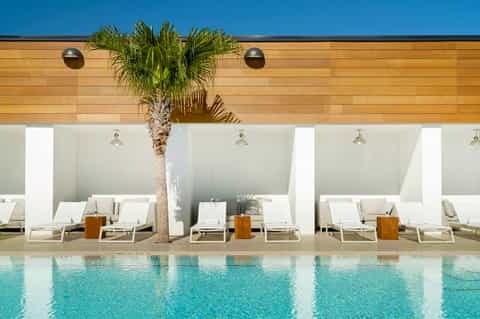Resort poolside with white loungers, palm tree, wooden ceiling panels, and clear blue pool