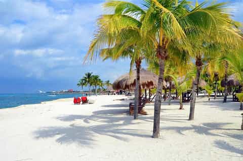 Sandy beach with palm trees, thatched umbrellas, and turquoise ocean water