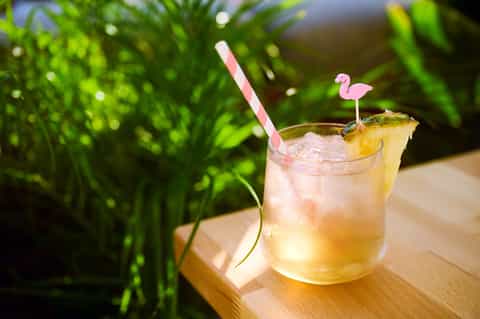 Tropical cocktail with pineapple garnish and pink straw surrounded by green foliage