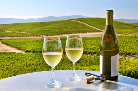 Two glasses of white wine and bottle overlooking rolling vineyard hills with distant mountains