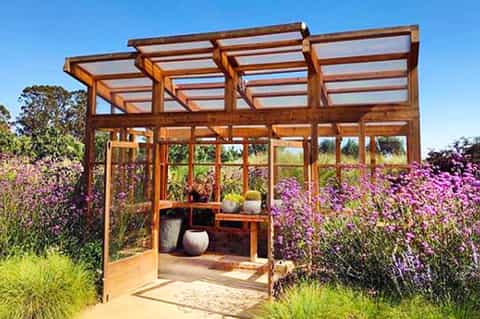 Wooden greenhouse structure surrounded by blooming purple flowers in sunny garden setting