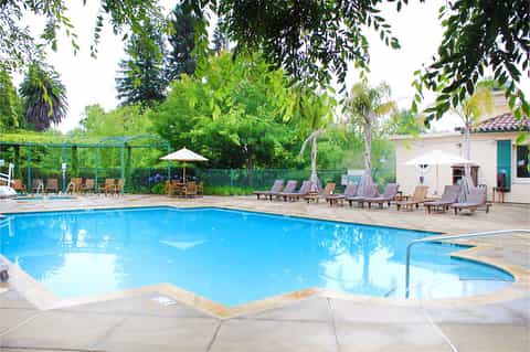 Resort pool nestled among mature trees with loungers and umbrellas