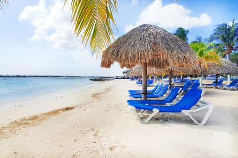 Tropical beach with blue lounge chairs under thatched umbrellas and palm trees
