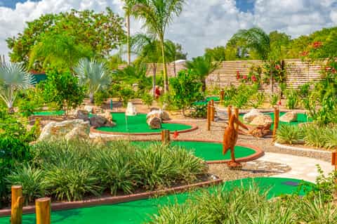 Miniature golf course with green putting greens nestled among tropical plants and palm trees