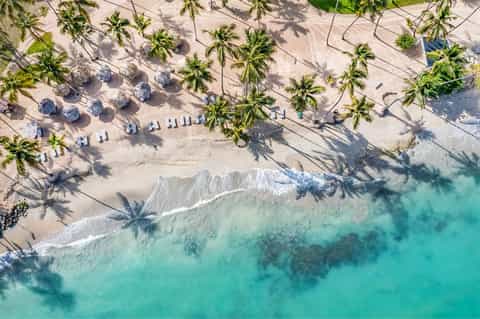 Overhead beach view with pristine white sand, palm tree shadows, lounge chairs, and turquoise ocean waves
