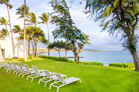 Beachfront resort lawn with white lounge chairs under palm and pine trees overlooking water