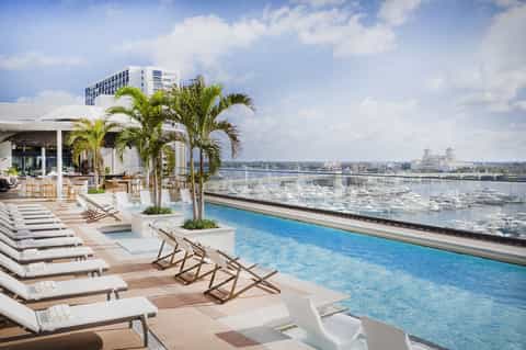 Resort rooftop pool with lounge chairs, palm trees, and marina views