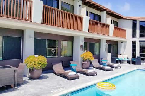 Modern poolside with lounge chairs, yellow flowering plants in pots, and waterfront views