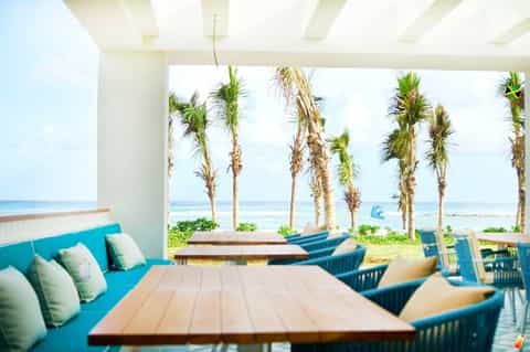 Beachfront lounge with turquoise seating, wooden tables, palm trees, and ocean view