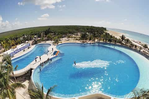 Large lagoon-style pool with dolphin exhibit sign, beach, and tropical palm trees nearby