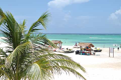 Tropical beach with palm fronds, turquoise water, white sand, and water sports equipment