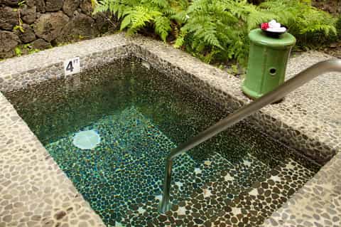 Natural hot spring pool surrounded by lush ferns and rocks with 4-foot depth marker